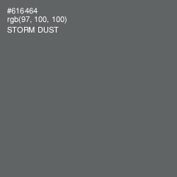 #616464 - Storm Dust Color Image